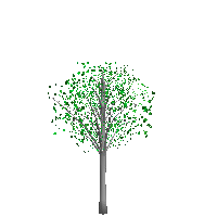 3Dオブジェクト樹木6新緑