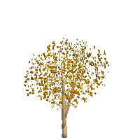 3Dオブジェクト樹木9紅葉