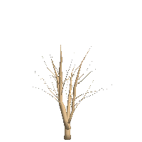 3Dオブジェクト樹木9幹